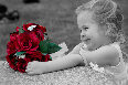 red-roses - photo5