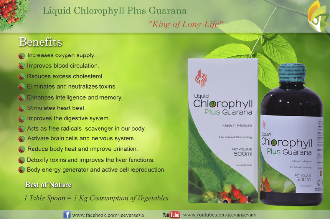 Chlorophyll Plus Guarana Benefits