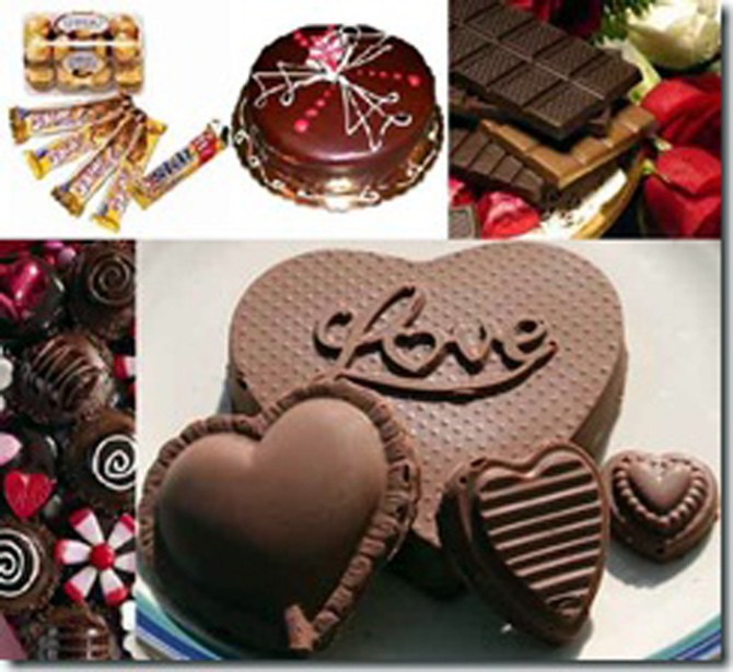 Chocolat belonging essay