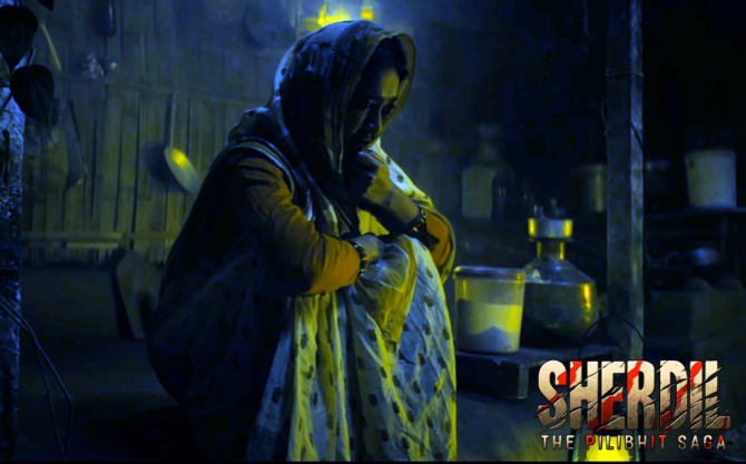 sherdil  the pilibhit saga movie photos-photo24
