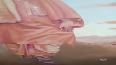 VID-20250621-WA0001