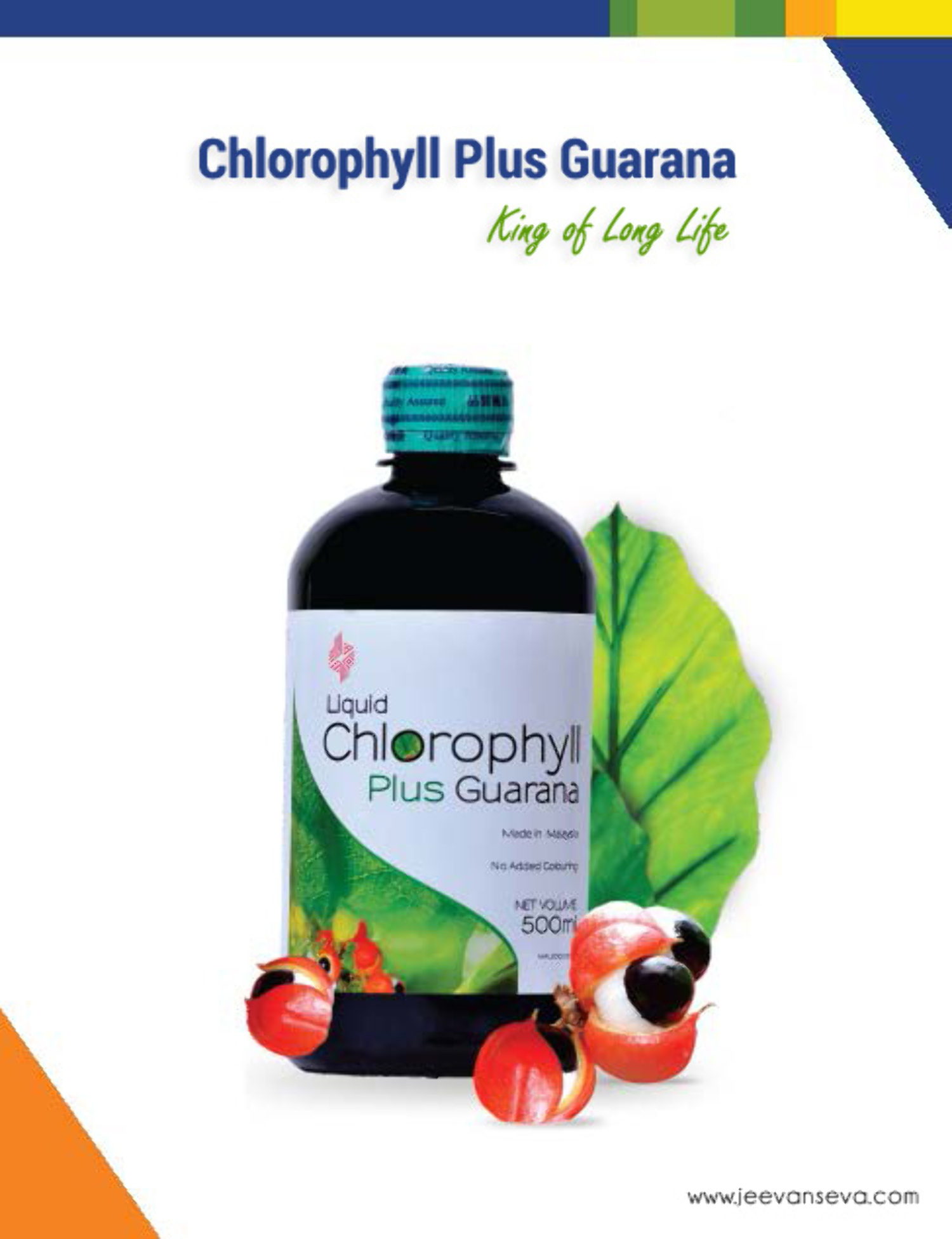 Chlorophyll Plus Guarana Jeevanseva Enterprises : jeevanseva - photo 8 ...